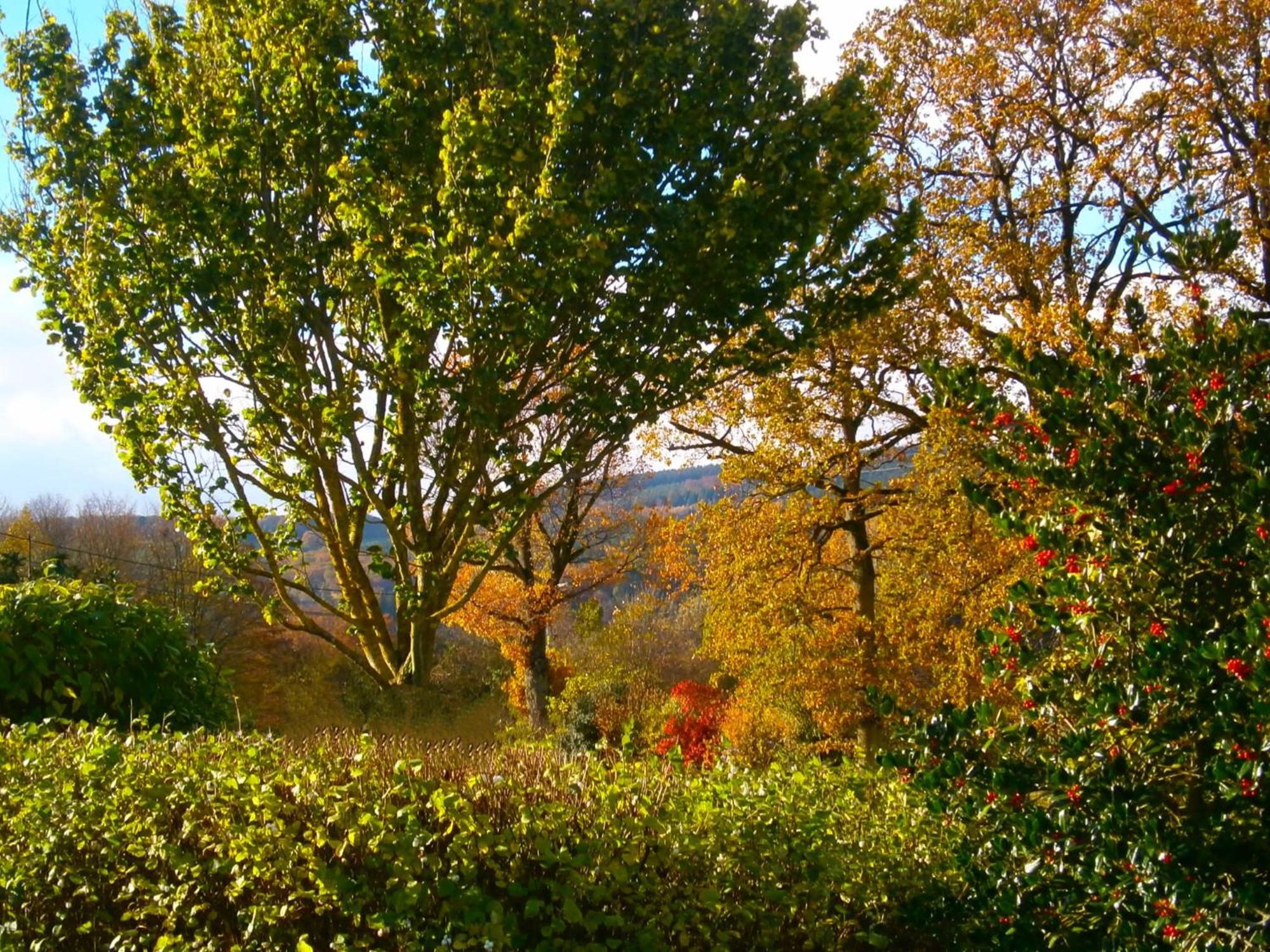 Le Renard'Or Bed & Breakfast Trois-Ponts Exterior photo
